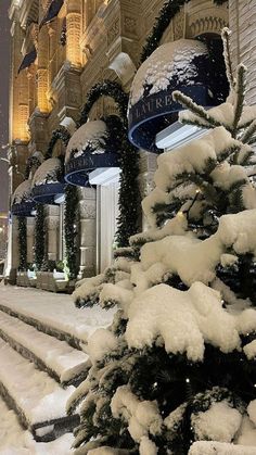 snow covered trees line the sidewalk in front of a building at night with lights on