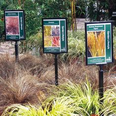 three signs are in the middle of some plants