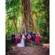 a group of people standing in front of a tree