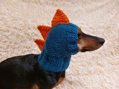 a small dog wearing a knitted hat with an orange and blue dragon on it