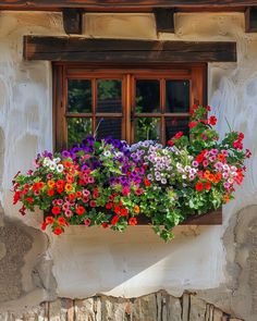 colorful flowers in a window box on the side of a building