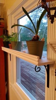 a potted plant sitting on top of a window sill next to a door