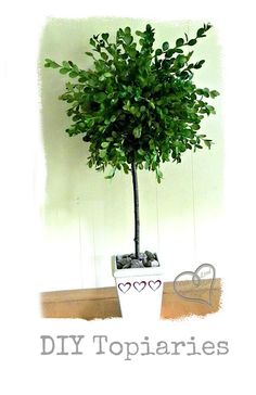 a potted plant sitting on top of a wooden table