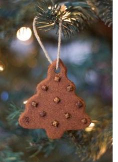 a christmas ornament hanging from a tree