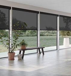 an empty room with large windows and potted plants