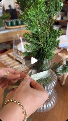 a person cutting up a plant on top of a table