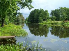 a body of water surrounded by lush green trees and grass on either side of it