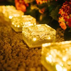 lit candles are lined up on the ground with flowers in the backgroung