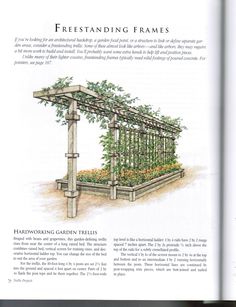 an open book with pictures of plants and flowers on it's cover, in the center is a drawing of a pergolated garden trellis