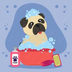 a pug taking a bath in a red tub with soap and toothbrushes