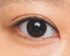 Epicanthic Fold, Grow Your Eyelashes, Eyelash Tinting, Eye Close Up, Beautiful Brown Eyes, Types Of Eyes, Doll Makeup