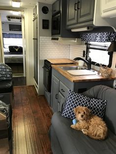 a dog is sitting on a chair in the kitchen area of a camper trailer