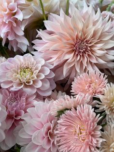 a bunch of pink and white flowers together