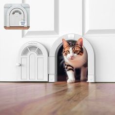 a cat peeks out from behind an opening in the wall to look at something