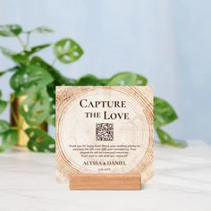 a wooden plaque with the words capture the love on it sitting next to a potted plant