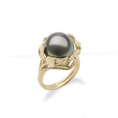 Wear the beauty of Hawaiian maile leaves with the Maile Leaf Tahitian Black Pearl Ring in Gold. Maile leaves in gold wrap around the large 12-13mm Tahitian black pearl, delivering a distinguished tropical style. Locally made in Hawaiʻi. Shop Now. Hawaiian Rings, Black Pearl Ring, Peacock Pearl, Hawaiian Jewelry, Tahitian Black Pearls, Gold Wrap, Gem Diamonds, Purple Pearl, Silver Shop