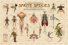 an illustration of different species of insects