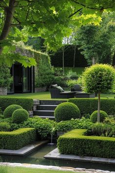 an outdoor garden with lots of trees and bushes