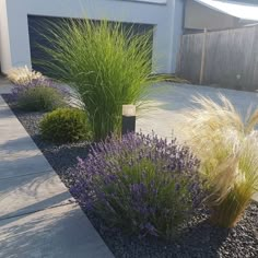 some purple and yellow plants in front of a white building with a garage behind it