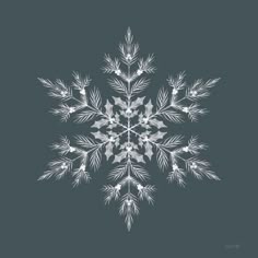 a white snowflake on a black background