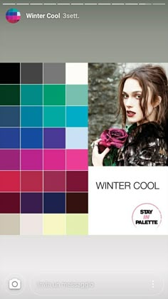 Winter Colors Palette, Cool Winter Makeup, Cool Winter Colors, Cool Winter Palette, Winter Color Season, True Winter Palette, True Cool Winter, True Winter Color Palette, Winter Skin Tone