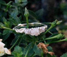 a silver ring sitting on top of a green leafy plant next to white flowers