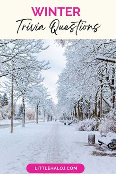 the words winter trivia questions in front of snow covered trees