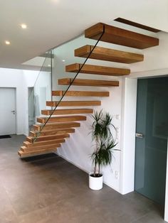 a wooden stair case next to a potted plant