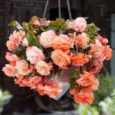 an orange hanging planter filled with lots of flowers