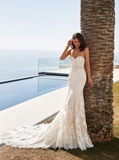 Pronovias | Desi Sample Wedding Gown Embroidered Lace Wedding Dress, Pronovias Bridal, Wedding Dresses Mermaid Sweetheart, Jasmine Bridal, Pronovias Wedding Dress, Wedding Dress Couture, Couture Wedding, Wedding Gowns Lace, Lace Wedding Dress