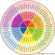 Social Work Interventions, Writing Songs Inspiration, Emotions Wheel, Feelings Wheel, Emotion Chart, Tarot Significado, Understanding Emotions, Inspirational Songs, Cognitive Behavioral Therapy