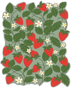 a drawing of strawberries and daisies on a green background with white flowers in the center