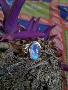 Natural Rainbow Moonstone Gemstone Ring in Sterling Silver Pure 925 Sterling Silver Ring with Natural Rainbow Moonstone Gemstone Handmade Rainbow Moonstone Ring Rainbow Moonstone Silver Ring 925 Silver Moonstone Ring Blue Flash Moonstone Ring Moonstone Gemstone Silver Ring Rainbow Moonstone Gemstone Sterling Silver Ring Handmade Moonstone Sterling Silver Ring Note- proudly 925 stamped item nickle free silver item picture may vary because of natural nature of the gemstone Shipping-- it will take Large Oval Moonstone Ring, Adjustable Oval Topaz Ring For Anniversary, Oval Large Stone Moonstone Wedding Ring, Anniversary Ring With Oval Cabochon Stone Setting, Anniversary Oval Cabochon Stone Setting Ring, Oval Moonstone Ring With Large Stone, Oval Cabochon Topaz Ring Gift, Spiritual Oval Birthstone Ring As Gift, Blue Oval Amethyst Ring For Gift