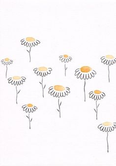 a drawing of daisies on a white background