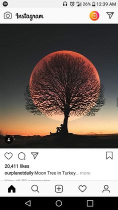 an instagram page with a tree and the sun setting in the sky behind it