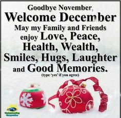 a christmas card with two ornaments and the words goodbye november welcome december may my family and friends enjoy love, peace, health, smiles, hugs, laughter and good memories