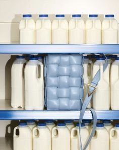 milk bottles are lined up on shelves with a blue ribbon hanging from the top one