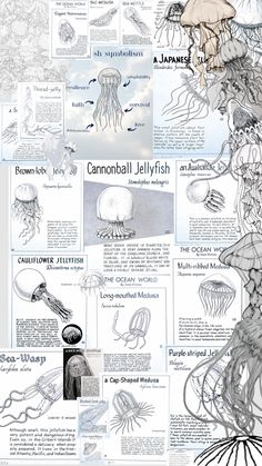 an image of jellyfishs and other animals in their natural habitat, with information about them