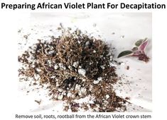 a pile of dirt sitting on top of a white table