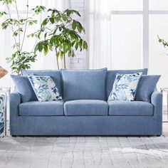 a blue couch sitting in front of a window next to a potted plant