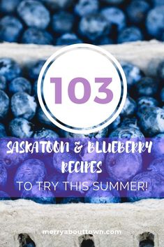 blueberries in baskets with text overlay reading 103 sakstation and blueberry recipes to try this summer