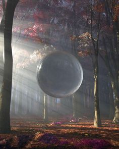 a large object floating in the air between two trees