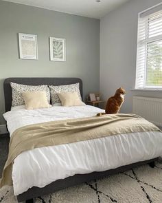 a cat sitting on the edge of a bed in a room with gray walls and carpet