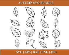 the autumn svg bundle includes leaves, acorns and other things to draw