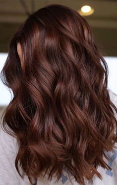 Chic and Sophisticated: Radish Brown Hair Color Ideas Dark Chestnut Hair Color, Dark Chestnut Hair, Highlights Brunette, Dark Auburn Hair, Chestnut Brown Hair, Chestnut Hair, Hair Length Chart, Chestnut Hair Color