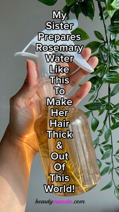 DIY Rosemary hair growth spray full of antioxidants to make your hair healthy and shiny, and to maintain long hair.. Diy Hair Growth Spray, Rosemary For Hair, Rosemary Hair Growth, Rosemary Water, Rosemary Oil For Hair, Hair Growth Spray, Hair Remedies For Growth