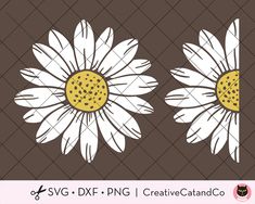 two white daisies with yellow centers are on brown and white checkered background, one is