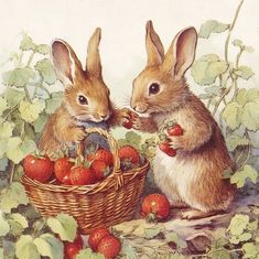 two rabbits sitting next to each other near strawberries