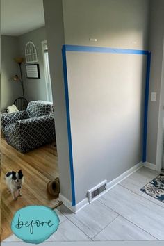 a dog is standing in the middle of a room with blue tape on it's walls