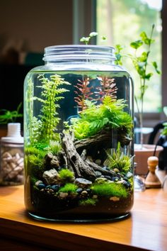 an aquarium filled with plants and rocks on top of a wooden table next to a window